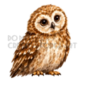 Watermarked - Owl PNG Digital Sticker