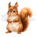 Watermarked - Squirrel PNG Digital Sticker